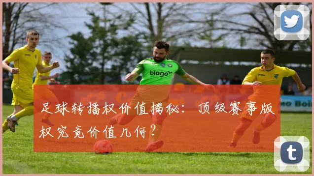 足球转播权价值揭秘：顶级赛事版权究竟价值几何？