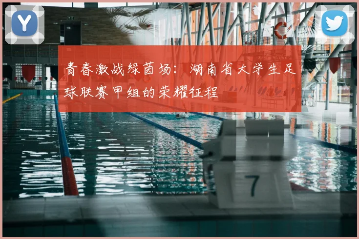 青春激战绿茵场：湖南省大学生足球联赛甲组的荣耀征程