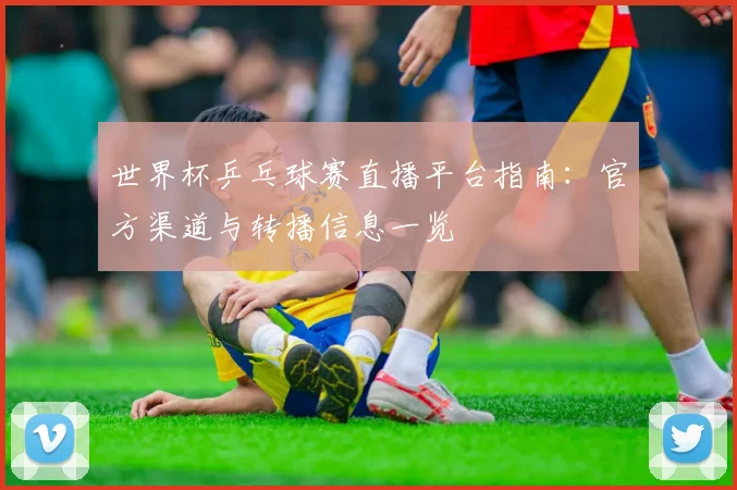 世界杯乒乓球赛直播平台指南:官方渠道与转播信息一览