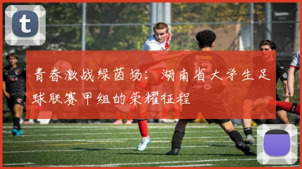 青春激战绿茵场：湖南省大学生足球联赛甲组的荣耀征程